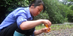 This photograph was submitted by LaRoy Brandt, Assistant Professor of Conservation Biology at Lincoln Memorial University. As part of a tropical rainforest field course at the LaSuerte Biological Field Station in Costa Rica, students participated in both service learning and conducting their own field research projects. Shown here is a student conducting a field titration to determine the amount of dissolved oxygen in Rio Suerte, information used to inform local villagers about the quality of water in their river. As part of the learning experience, students not only became more familiar with rainforest ecology, but also were able to gain personal ownership in efforts to understand human impacts on the environment.