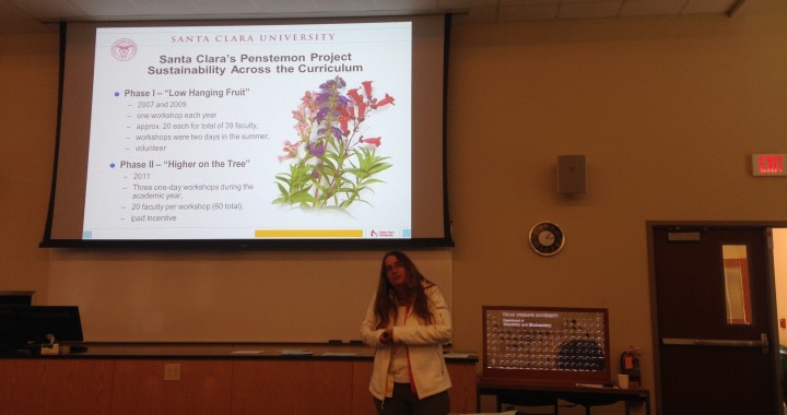 Amy Shachter discussing how Santa Clara University incorporates sustainability across its curriculum.