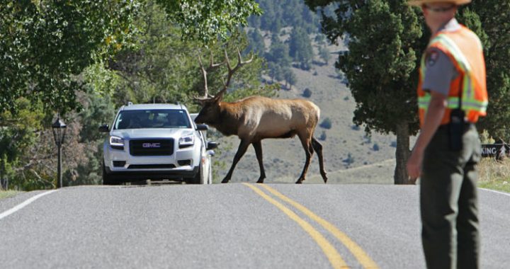 "Is Ecotourism Helping or Hurting our National Parks?" Photo Credit: Jim Peaco