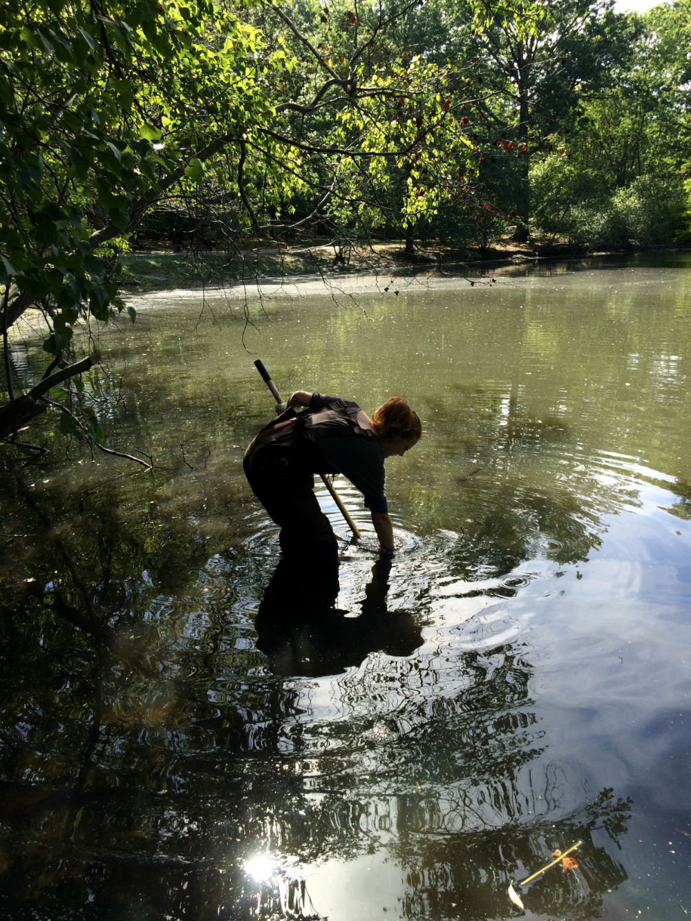 Fieldwork Photo Contest Submission - Lisa Lobel