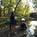 Fieldwork Photo Contest Submission - Lisa Lobel