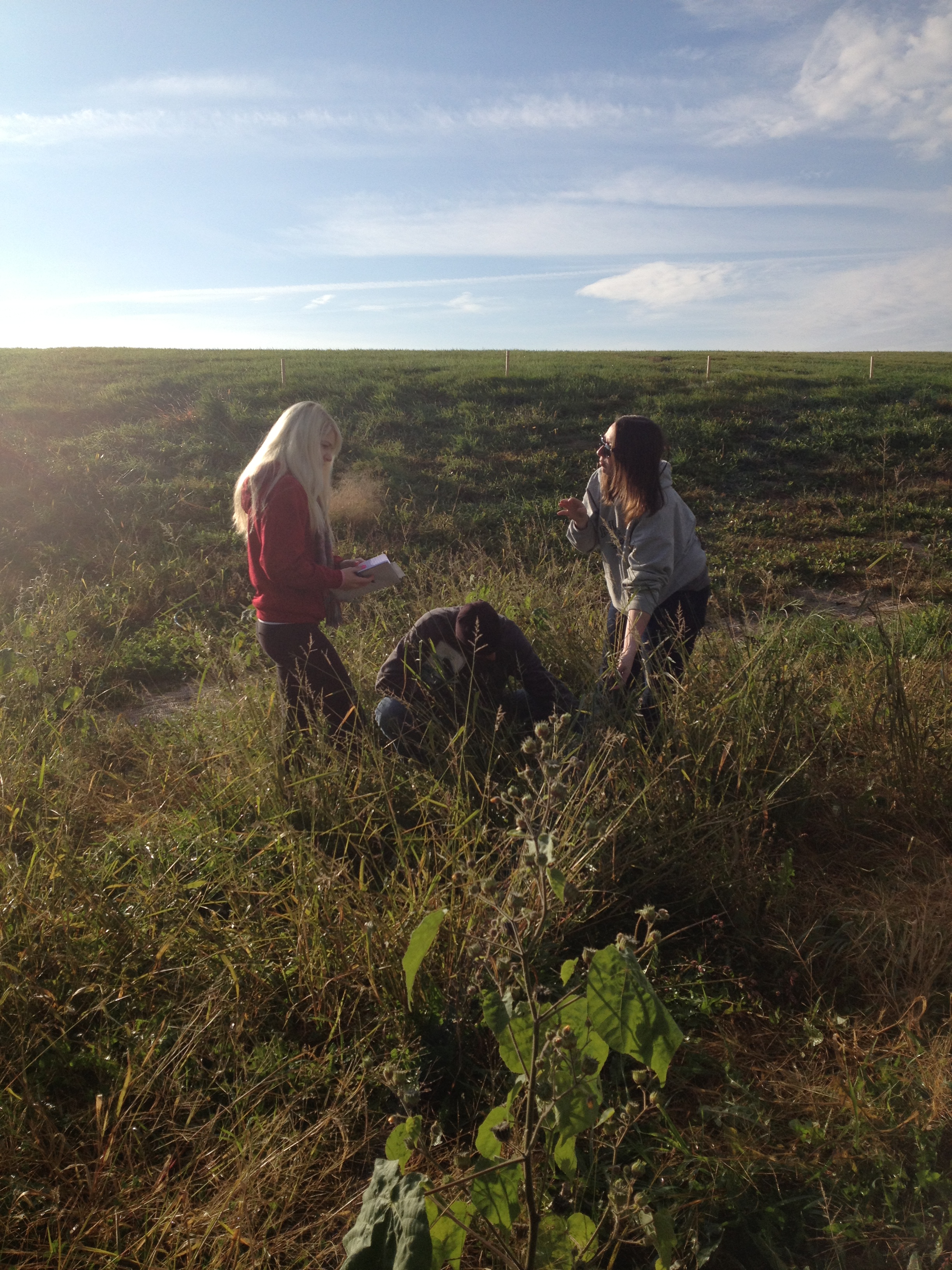 Fieldwork Photo Contest Submission - Virginia McHugh Kurtz