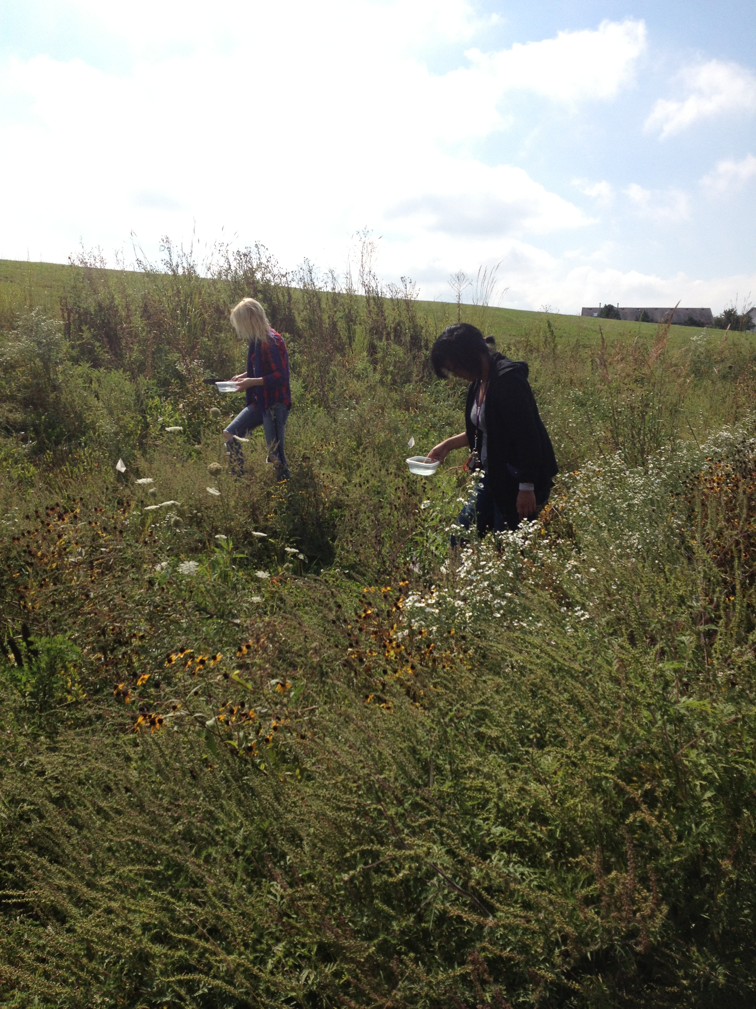 Fieldwork Photo Contest Submission - Virginia McHugh Kurtz