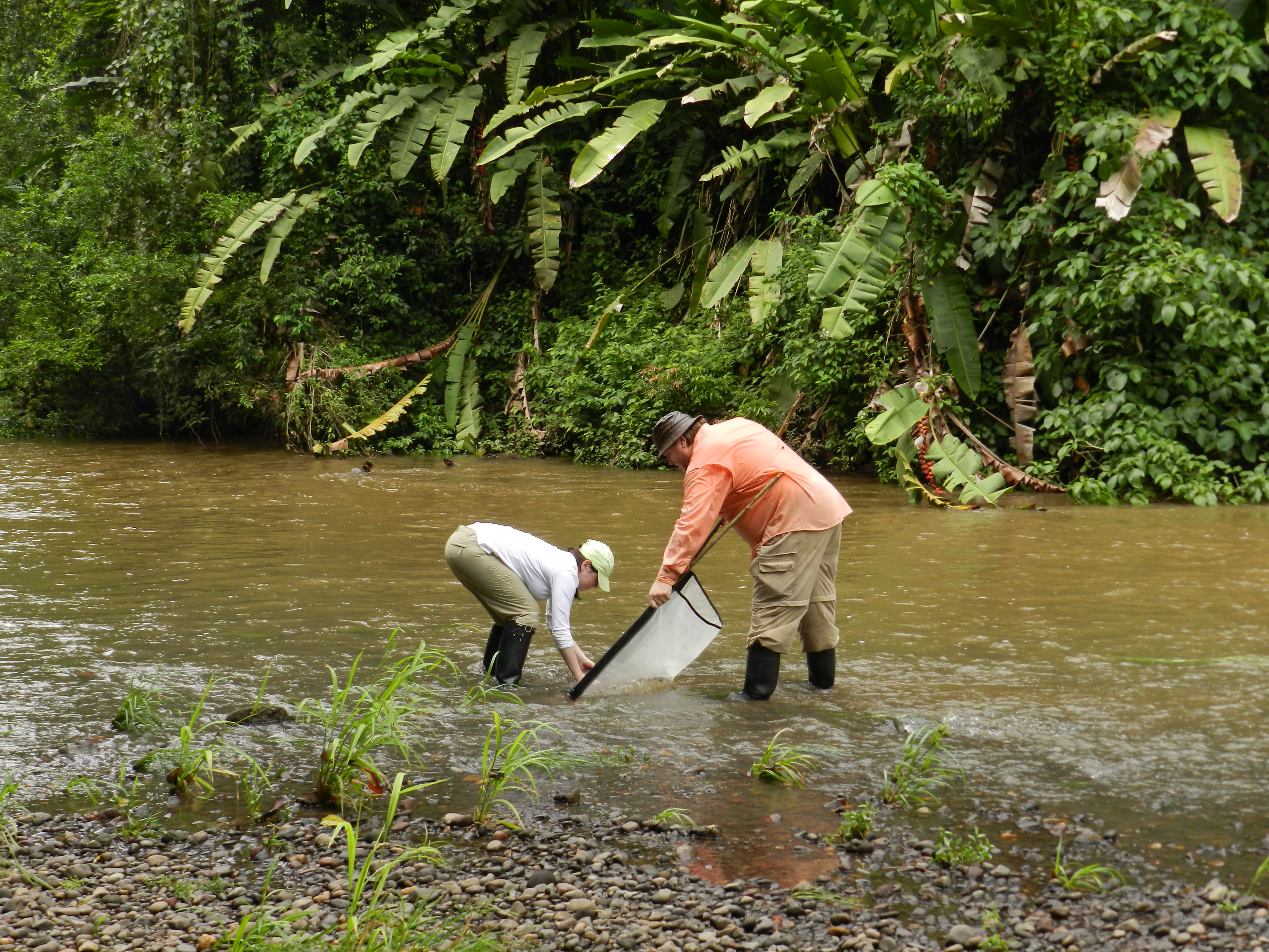 Fieldwork Photo Contest Submission - LaRoy Brandt