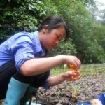 This photograph was submitted by LaRoy Brandt, Assistant Professor of Conservation Biology at Lincoln Memorial University. As part of a tropical rainforest field course at the LaSuerte Biological Field Station in Costa Rica, students participated in both service learning and conducting their own field research projects. Shown here is a student conducting a field titration to determine the amount of dissolved oxygen in Rio Suerte, information used to inform local villagers about the quality of water in their river. As part of the learning experience, students not only became more familiar with rainforest ecology, but also were able to gain personal ownership in efforts to understand human impacts on the environment.