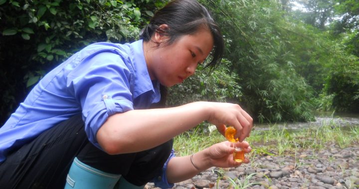 This photograph was submitted by LaRoy Brandt, Assistant Professor of Conservation Biology at Lincoln Memorial University. As part of a tropical rainforest field course at the LaSuerte Biological Field Station in Costa Rica, students participated in both service learning and conducting their own field research projects. Shown here is a student conducting a field titration to determine the amount of dissolved oxygen in Rio Suerte, information used to inform local villagers about the quality of water in their river. As part of the learning experience, students not only became more familiar with rainforest ecology, but also were able to gain personal ownership in efforts to understand human impacts on the environment.