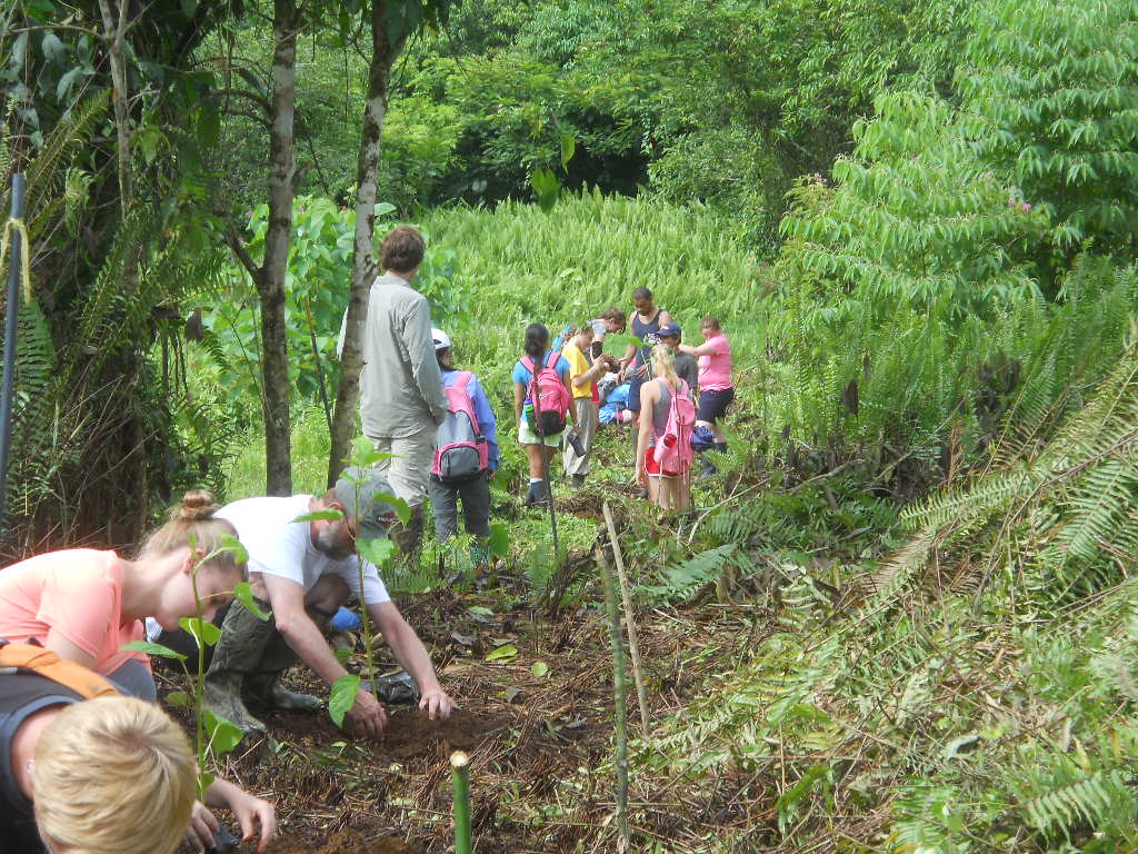 Fieldwork Photo Contest Submission - LaRoy Brandt